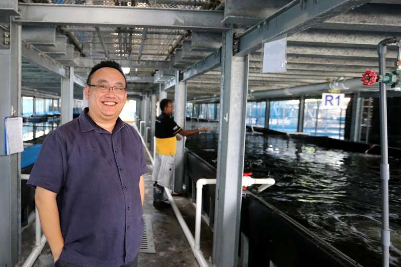Mr Ng, group CEO of Apollo Aquaculture, at his company's farm in Lim Chu Kang, one of 62 that will see their leases expire in 2019.ST PHOTO: JONATHAN CHOO