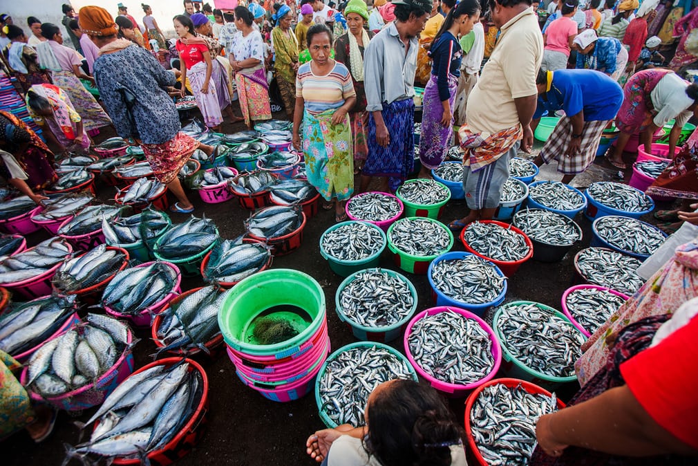 Catches are sold at a busy fish market in Sorong, in Indonesia’s West Papua province. Women make up about half of the workforce in small-scale fisheries, mainly in processing and marketing the catch. In Indonesia, roughly half of the animal protein consumed is seafood Photograph: Paul Hilton/Earth Tree