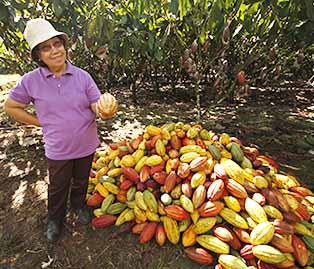 Farmer at heart, Charita Puentespina and her harvested cacao pods.
