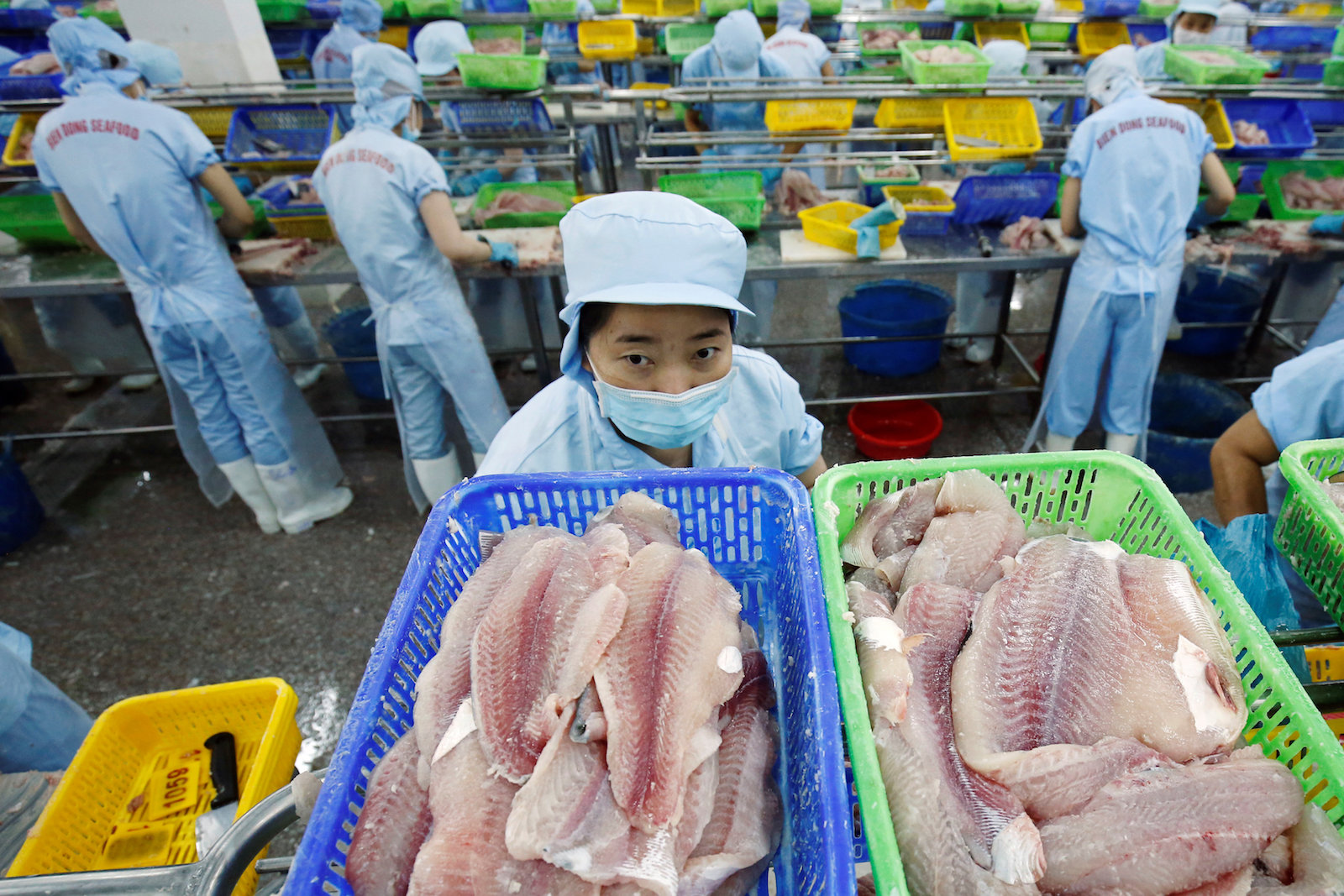Workers make fillets of Swai fish at a Bien Dong Seafood Company factory in the southern Vietnam city of Can Tho, July 7, 2017. Photo: Reuters/Kham