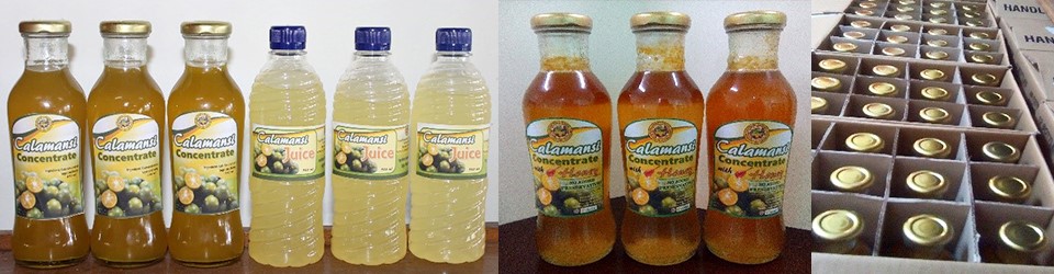 The VKFF farmers’ primary processed products: calamansi concentrate and RTD juice