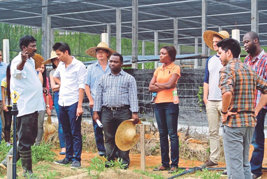 Crops For the Future-University of Nottingham Malaysia Campus Doctoral Training Partnership (CFF-UNMC DTP) programme students learning about field trials at the CFF field research center.