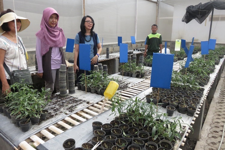Indonesian SFRT grantees conduct studies in aid of rural and agricultural communities