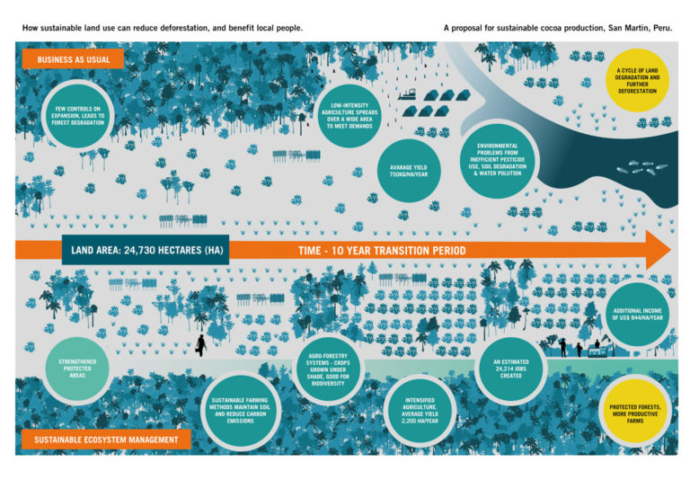 A pilot project in the region of San Martin in Peru is underway to help smallholder farmers transition to more sustainable methods over the next 10 years. Image courtesy of the Global Canopy Programme