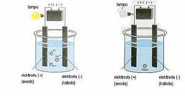 ipb students created ad toam detector for halal foods and drinks