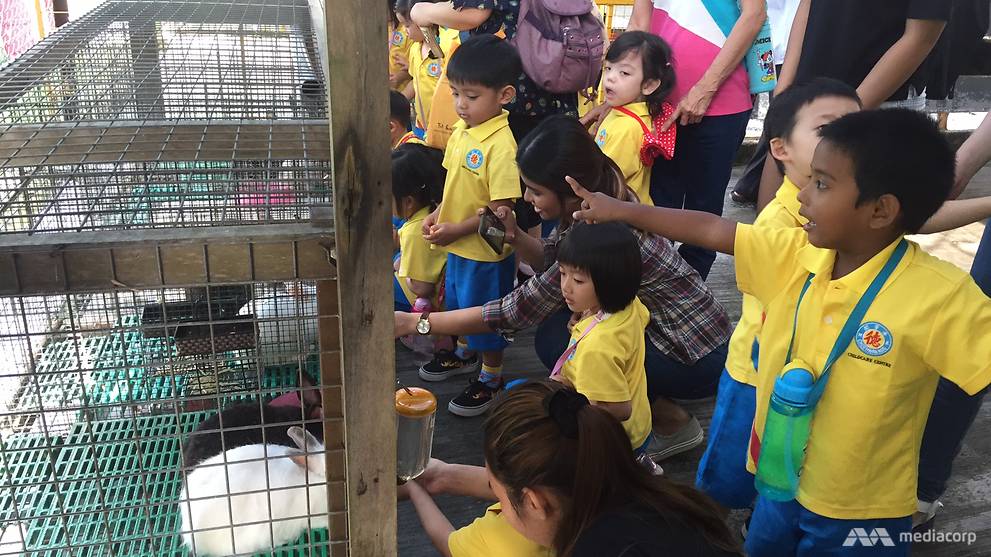 Children on a farm tour, where they interact with animals such as goats and rabbits - a first for many of the students Channel NewsAsia spoke to. (Photo: Wendy Wong) 
