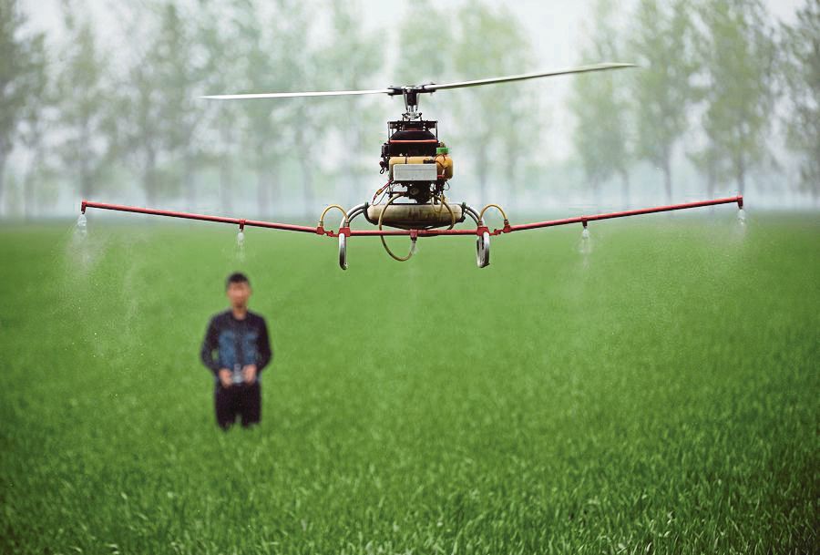 A farmer, who practises smart farming, using a drone to spray crops in Bozhou, Anhui, China. AFP PIC