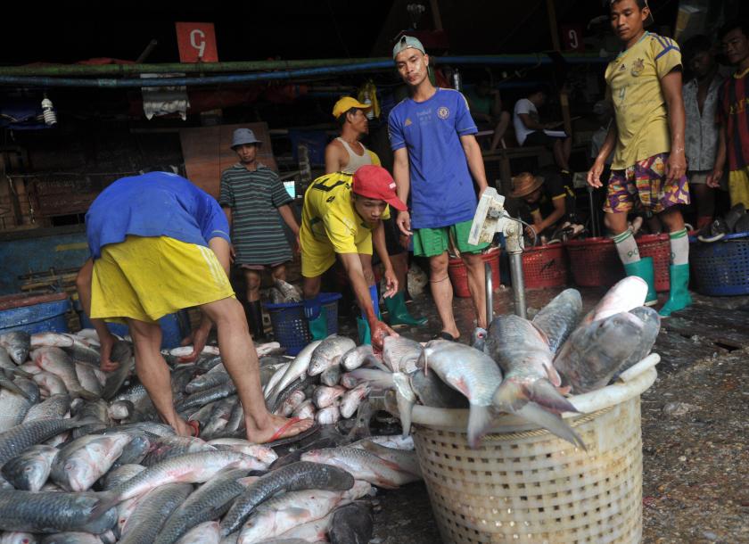 Workers unloading fish supplies at the San Pya fish market in Yangon. Photo: The Myanmar Times