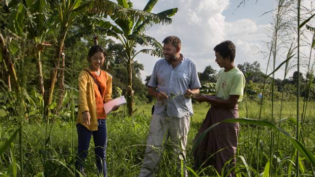 MFAT technical advisor Kent Weston-Arnold standing in a field of mombasa grass with farmer U Ouh Kyau and Dr Su Hlaing Phyo, outside of Mandalay, Myanmar.