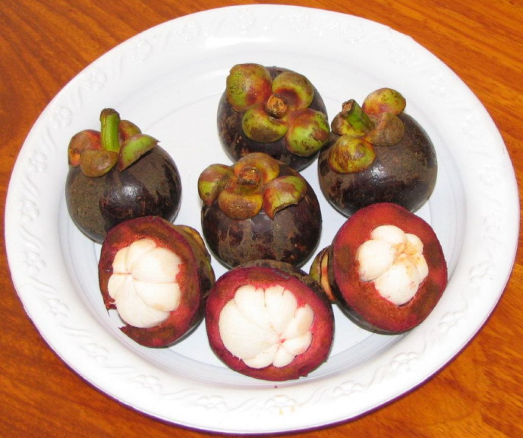 Xantohones, a compound in mangosteens could be a useful tool in the fight against TB. Photo: www.freeimages.com