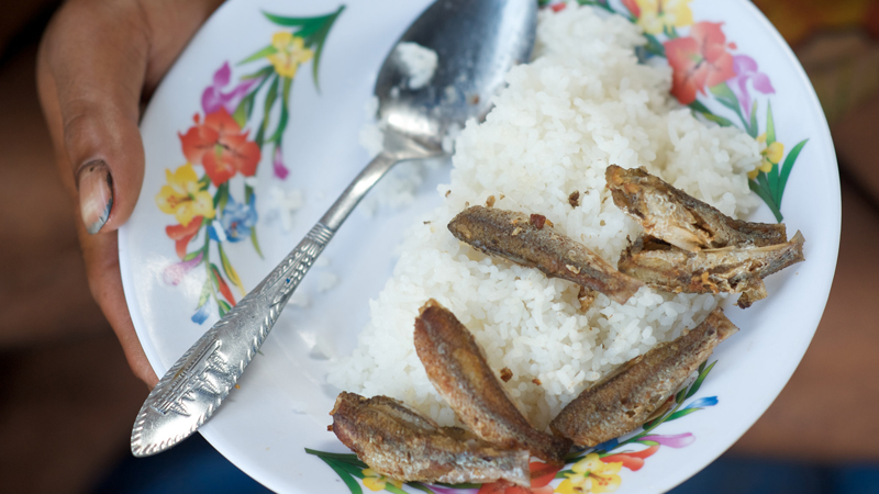 A bowl of rice and fish in Siem Reap, Cambodia. Photo by: WorldFish / CC BY-NC-ND