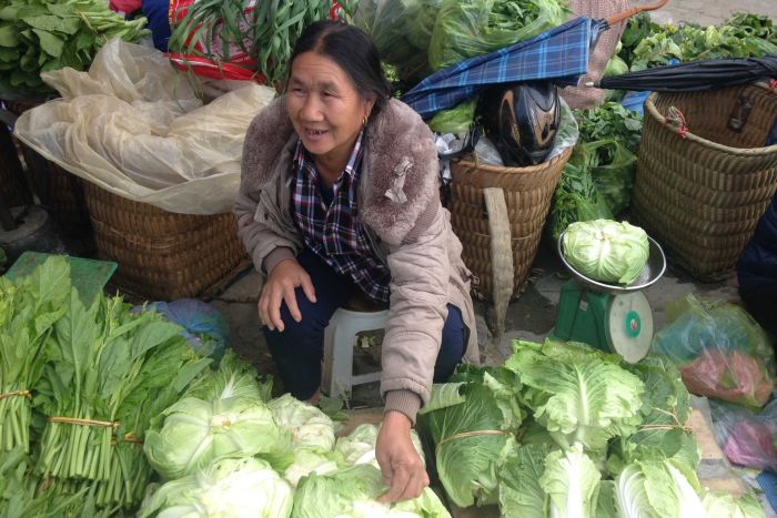 Lu Thị Cọt sells her vegetables in the Sunday Market, Bac Ha, Lao Cai Province, Vietnam (ABC Rural: Cassandra Hough)