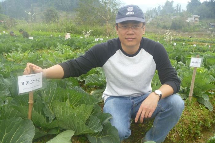 Dr Tran Minh Tien, deputy director of the Soils and Fertilisers Research Institute (in Hanoi) pictured in one of the project's micronutrient trials in Na Kheo Commune, Bac Ha District, Lao Cai Province, Vietnam. (ABC Rural: Cassandra Hough)