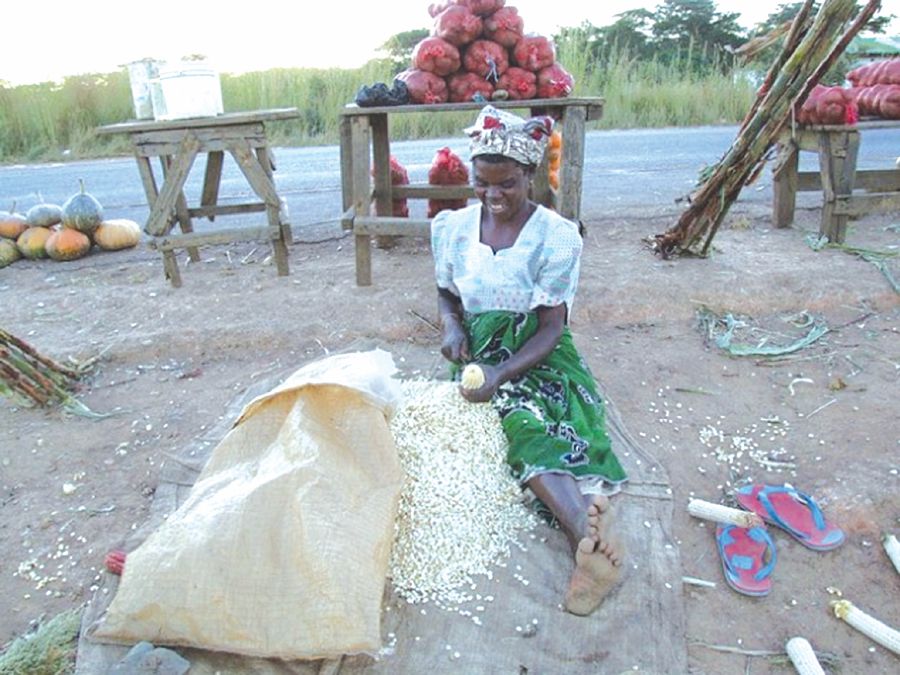 Africa has been transformed from a net food exporter into a net food importer, while realising only a small fraction of its vast agricultural potential.