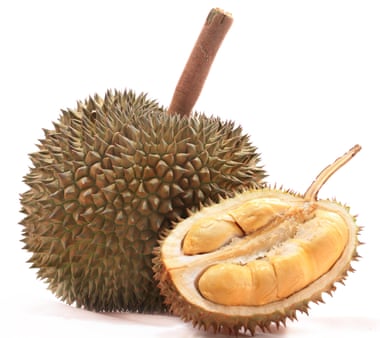  A durian fruit. Photograph: Tai/Getty Images