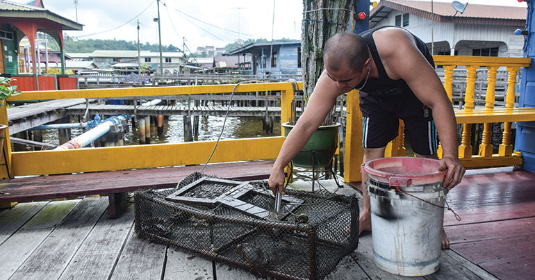 A fisherman checks his traps