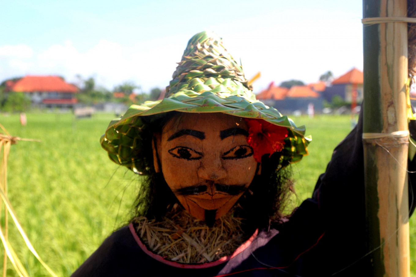 Farmers put a straw hat on top of a scarecrow. Three agritech startups involved in helping farmers, Eragano, Sayurbox and Tanihub, have been selected to take part in Grab’s second Grab Ventures Velocity accelerator program. (JP/Zul Trio Anggono)