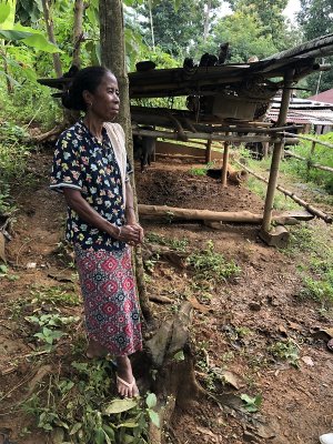 Jacinta Pereira, a smallholder farmer in Maliana town in Bobonaro municipality in Timor-Leste