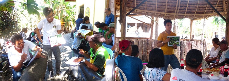 Conduct of FGDs with farmer-groups in Victoria and Pola, Oriental Mindoro