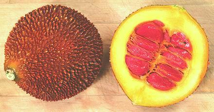 (File pix) A ripe gac fruit that has been cut. Pix courtesy of UMT