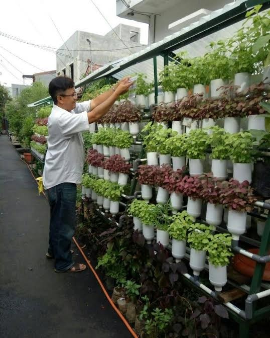 A man waters plants in a vertical garden in Cikini, Central Jakarta.in this undated file photo. Coronavirus lockdowns are pushing more city dwellers to grow fruit and vegetables in their homes, providing a potentially lasting boost to urban farming, architects and food experts said on Tuesday. (Courtesy of Jakarta Fisheries, Agriculture and Food Security Agency/-)