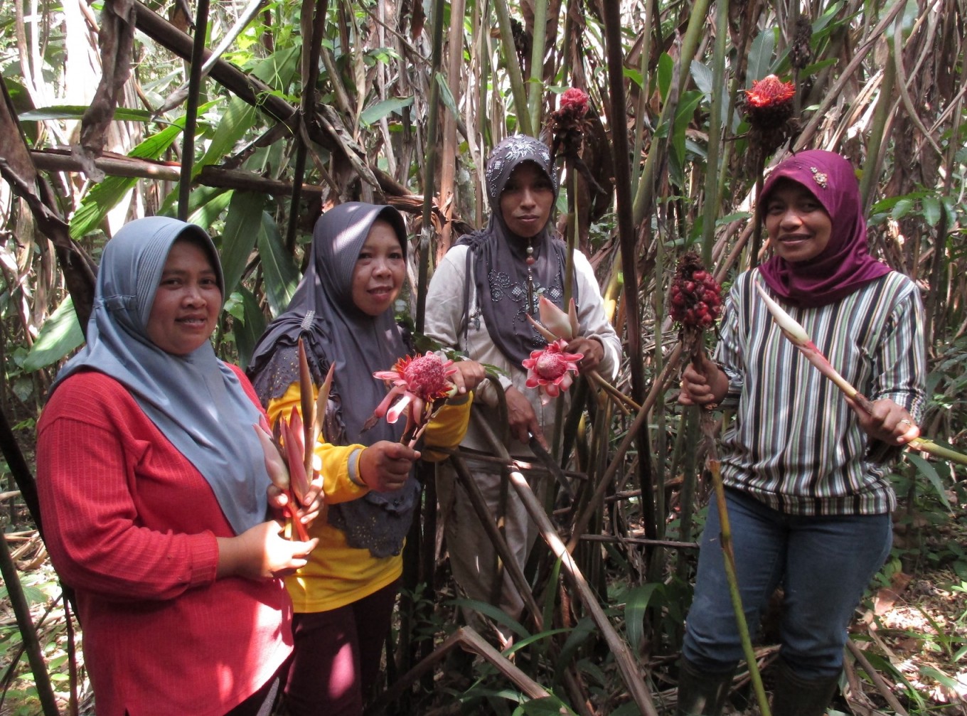 Members of farmers group Maju Bersama, Liswanti (left), Lisnawati (second left), Herawati and Purwani pose with 'kecombrang' (torch ginger) harvested from the Kerinci Seblat National Park in Bengkulu in December 2019. (JP/Dedek Hendry)