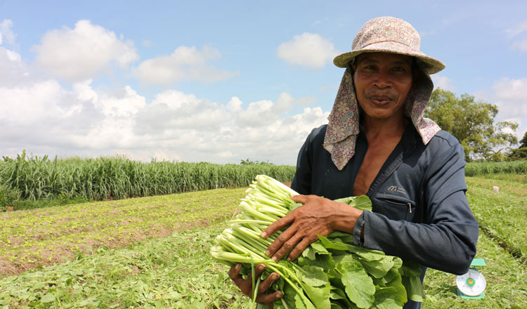 A farmer in Monulkiri, where the PM wants to diverse agriculture, including adding potatoes. KT/Chor Sokunthea