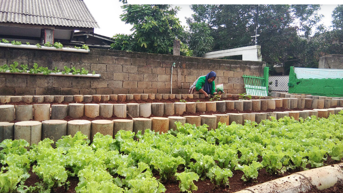 Green thumb: Head of the Seruni urban farming group in RW 10, South Kebayoran Lama subdistrict, South Jakarta, Eka Yulianti plants water spinach seeds. The 290-square-meter garden, located in a densely populated area, can produce up to 80 kilograms of crops including spinach, mustard greens and lettuce. (The Jakarta Post/Vela Andapita)