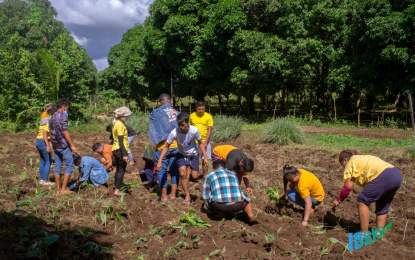 FUTURE. Participants of the Bayanihan sa Agrikultura para sa Kabatan-onan, Kaumahan, ug Katubigan (BAKA) program plant turmeric, and peanuts on a field in Barangay Lumbia, Cagayan de Oro City as part of their training at the Fergber Integrated Organic Farm, Incorporated. The program targets to teach participants a range of practical skills related to agro-fishery that includes organic farming, fish production, free-range chicken production, and agro-enterprise development. (Photo courtesy of the BAKA Program Technical Working Group)
