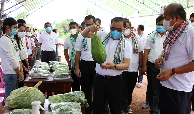 Agriculture Minister Veng Sakhon inspects a papaya on display during the celebration of the 41st World Food Day in Prey Veng province on Saturday. KT/Khem Sovannara