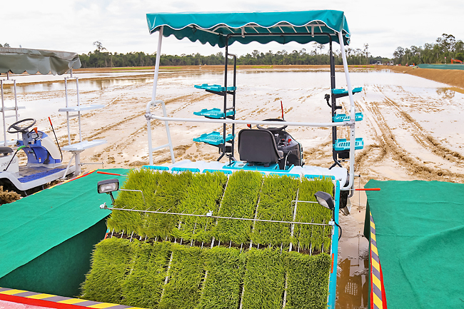 Paddy transplanter machine is seen at the commercial paddy farm in the Agricultural Development Area (KKP) Kandol in Belait District. (PHOTO: DANIEL LIM)