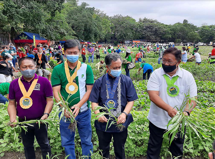 (From right) DAR Secretary John R. Castriciones, Fr. Gaudencio Carandang Jr., Department of Agriculture representative and Planters Products president Ranilo Maderazo, and Department of Agrarian Reform-Calabarzon Regional Director Rene Colocar initiate the “pick, harvest and pay” activity. (Photo: Business Mirror))