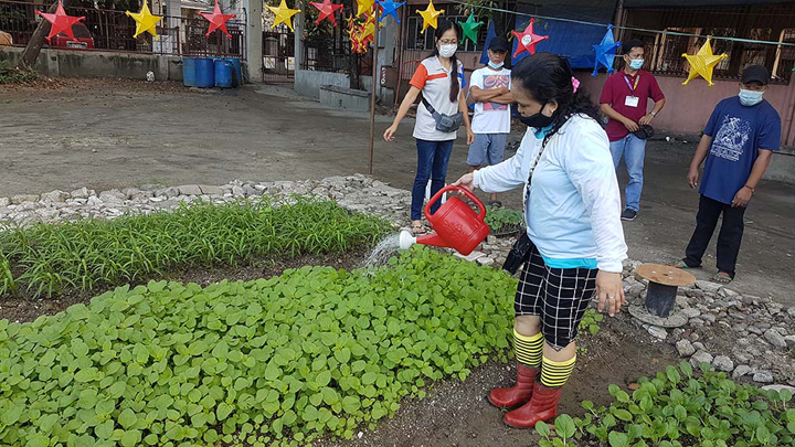 “Buhay sa Gulay” participants tend their vegetable plots at an 800-square-meter football field in Tondo, Manila. (Photo: DAR Public Assistance and Media Relations Service)
