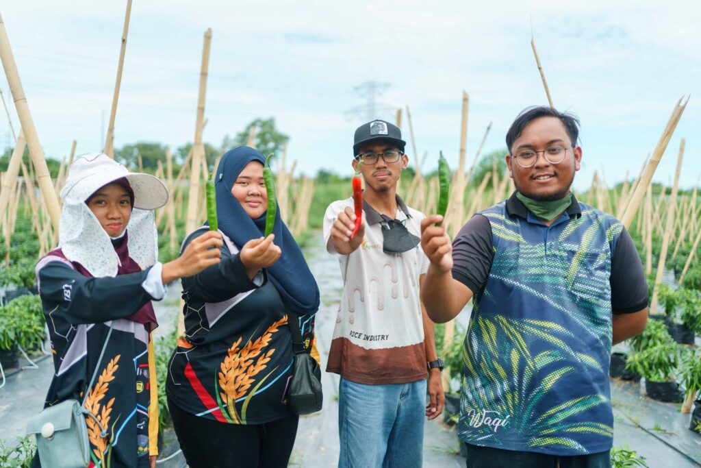Co-founders of AgroZid, a farming business formed by AgroBiz graduates, showing the harvest from their operation in Sg Liang (L to R): Ikmal Atiqah, Nur Miza Masturina, Md Azizan Ali Hj Md Azlan, and Dilla Waqiuddin.