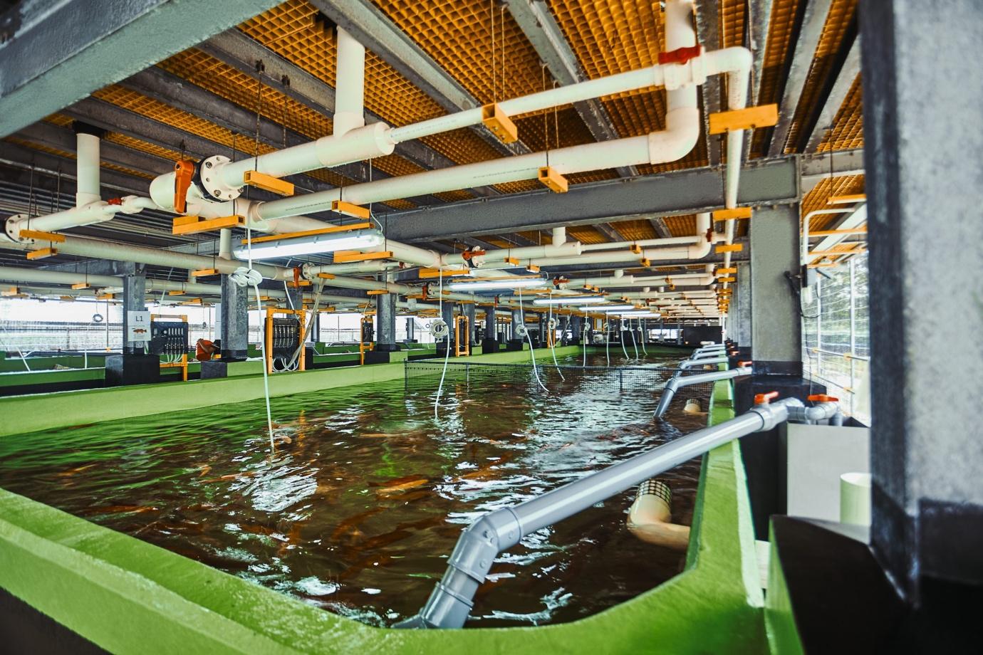 Apollo Aquaculture’s eight-story vertical fish farm is a testament of our high-tech farming credentials when it made the news around the world / Image Credit: GovInsider