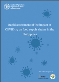 Rapid assessment of the impact of COVID-19 on food supply chains in the Philippines