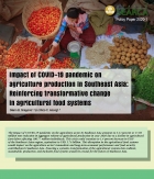 Impact of COVID-19 pandemic on agriculture production in Southeast Asia: Reinforcing transformative change in agricultural food systems