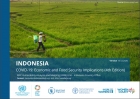 Indonesia: COVID-19: Economic and Food Security Implications (4th Edition)