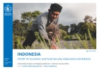 Indonesia: COVID-19: Economic and Food Security Implications (3d Edition)