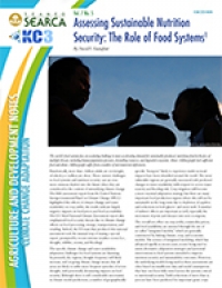 Assessing Sustainable Nutrition Security: The Role of Food Systems