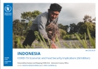 COVID-19 Economic and Food Security Implications for Indonesia - 3rd edition August 2020