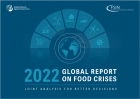 Global Report on Food Crises - 2022